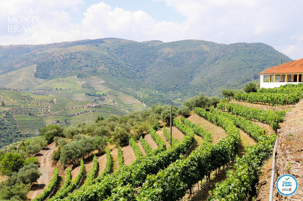 Quinta do Monte Bravo - DOURO - Quarto Duplo Ervedosa do Douro Exterior foto