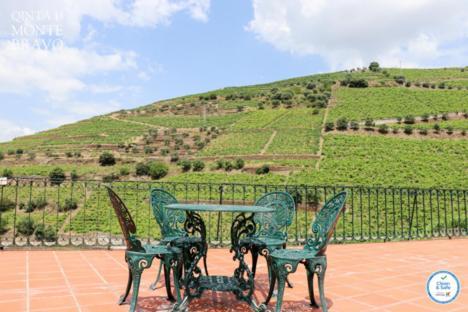 Quinta do Monte Bravo - DOURO - Quarto Duplo Ervedosa do Douro Exterior foto