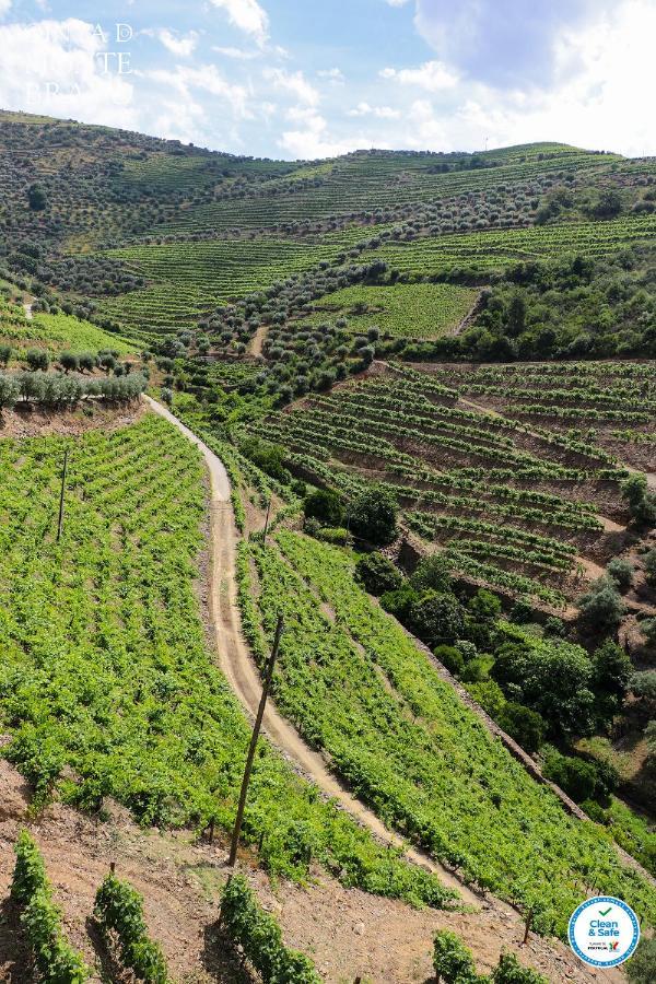 Quinta do Monte Bravo - DOURO - Quarto Duplo Ervedosa do Douro Exterior foto