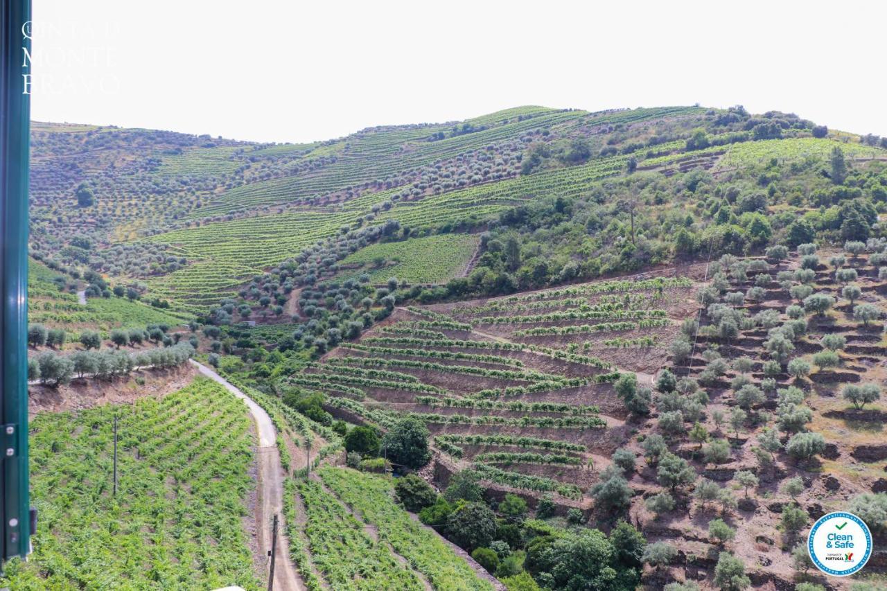 Quinta do Monte Bravo - DOURO - Quarto Duplo Ervedosa do Douro Exterior foto